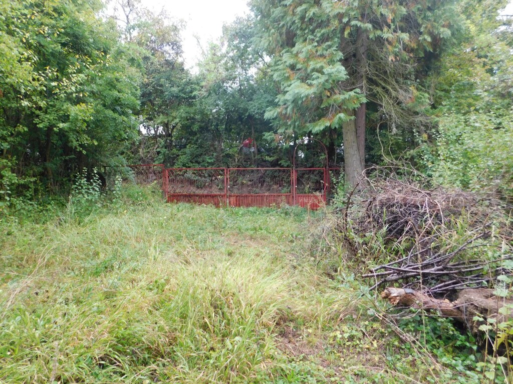 Image 6206828 - 19