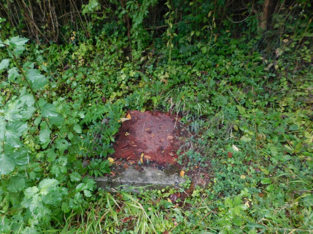 Image 6206828 - 16