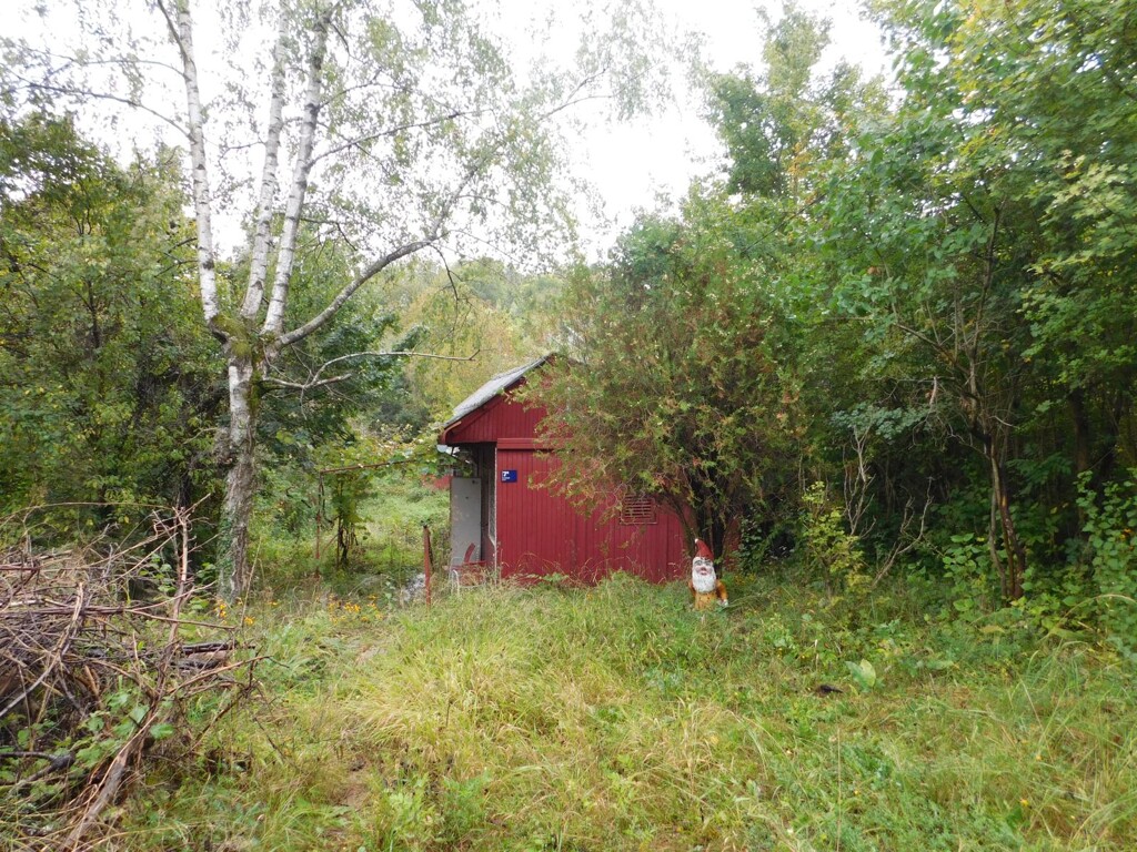 Image 6206828 - 20