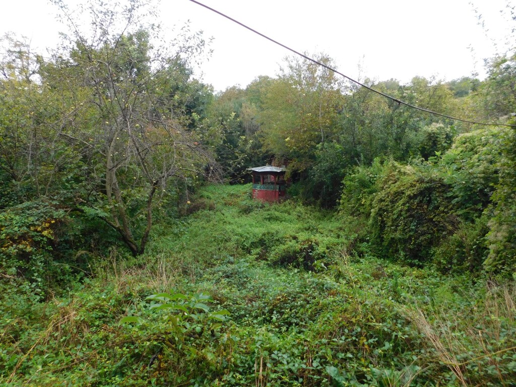 Image 6206828 - 17