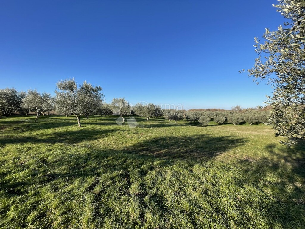 Image 6206915 - 4