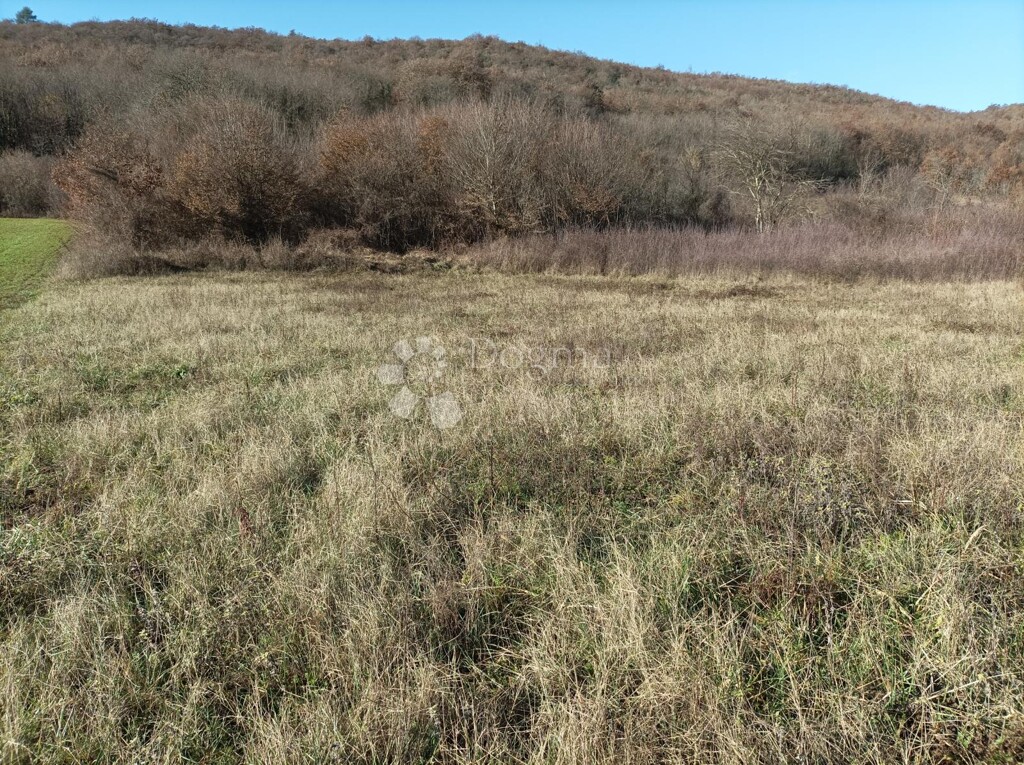 Image 6206916 - 2