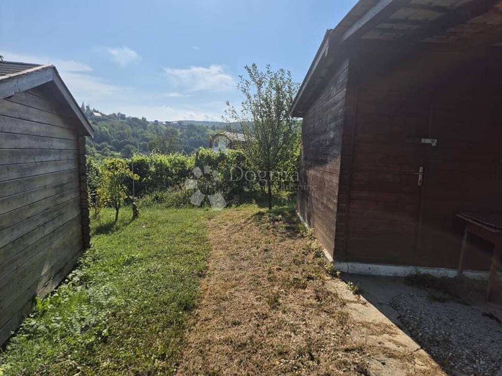 Image 6206917 - 3