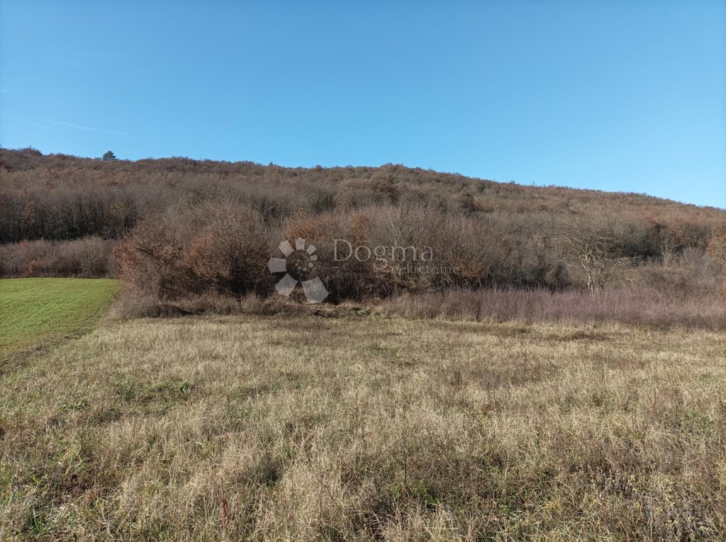 Image 6206918 - 3