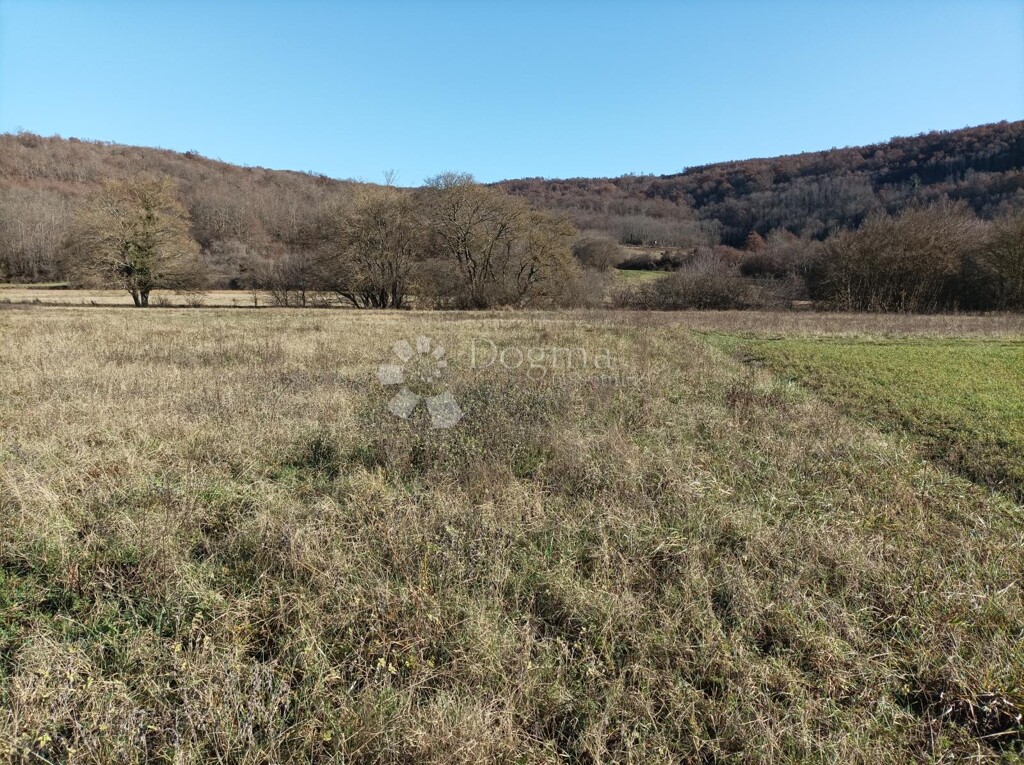 Image 6206918 - 1
