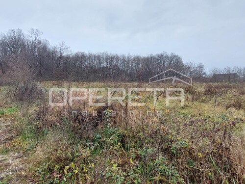 Thumbnail 6206924 - 2