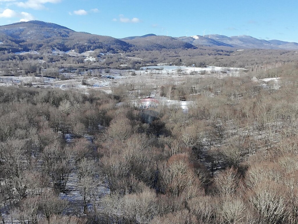 Image 6206931 - 4