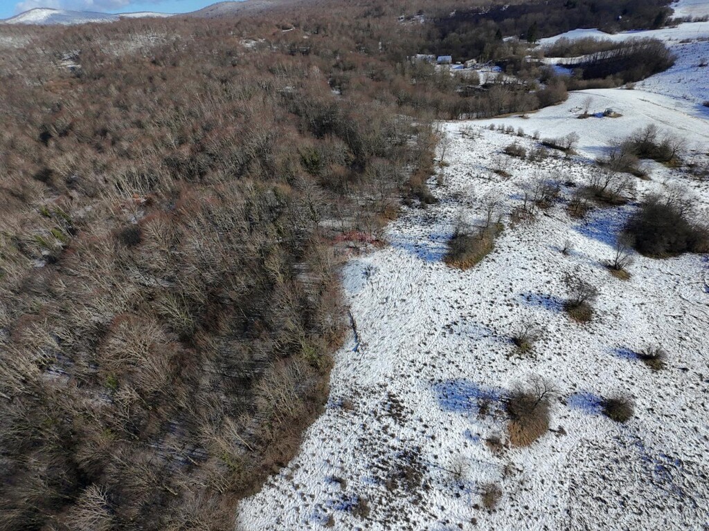 Image 6206931 - 3