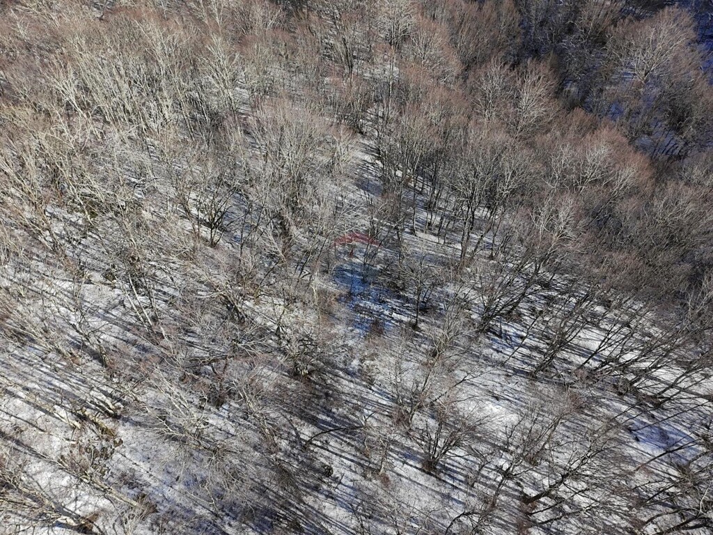 Image 6206931 - 5