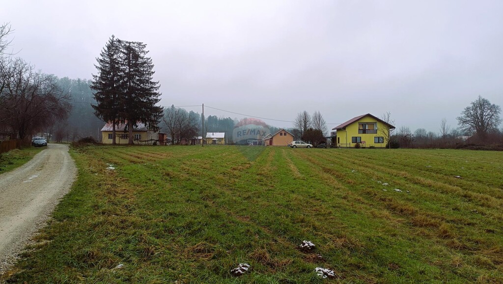 Image 6206934 - 1