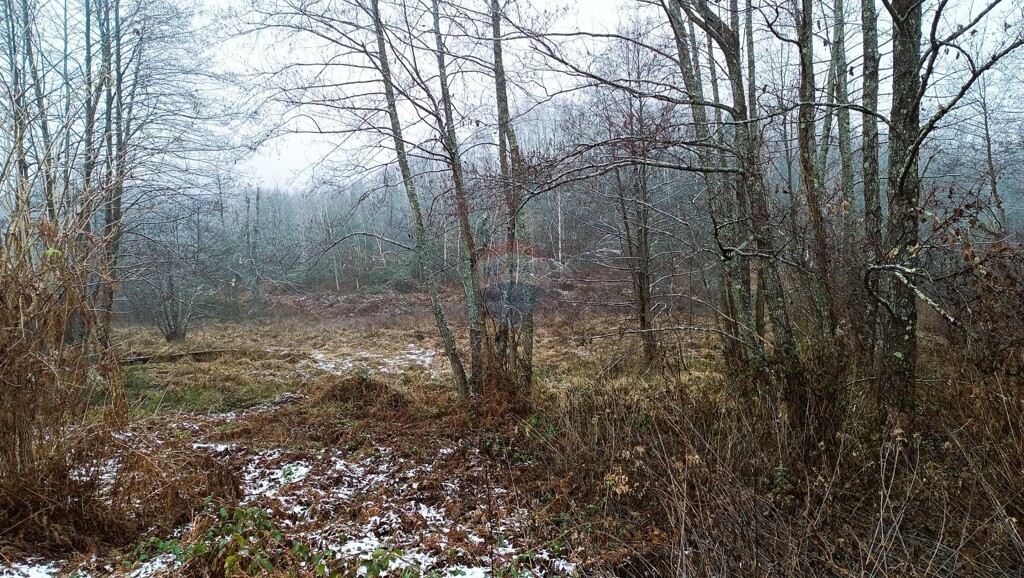 Image 6207210 - 1