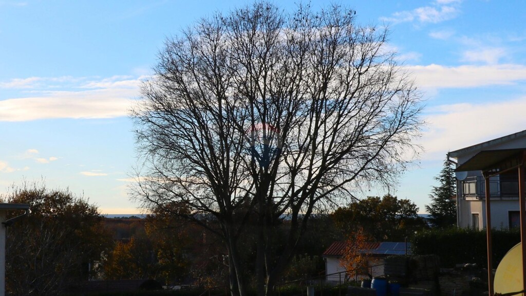 Image 6207211 - 3