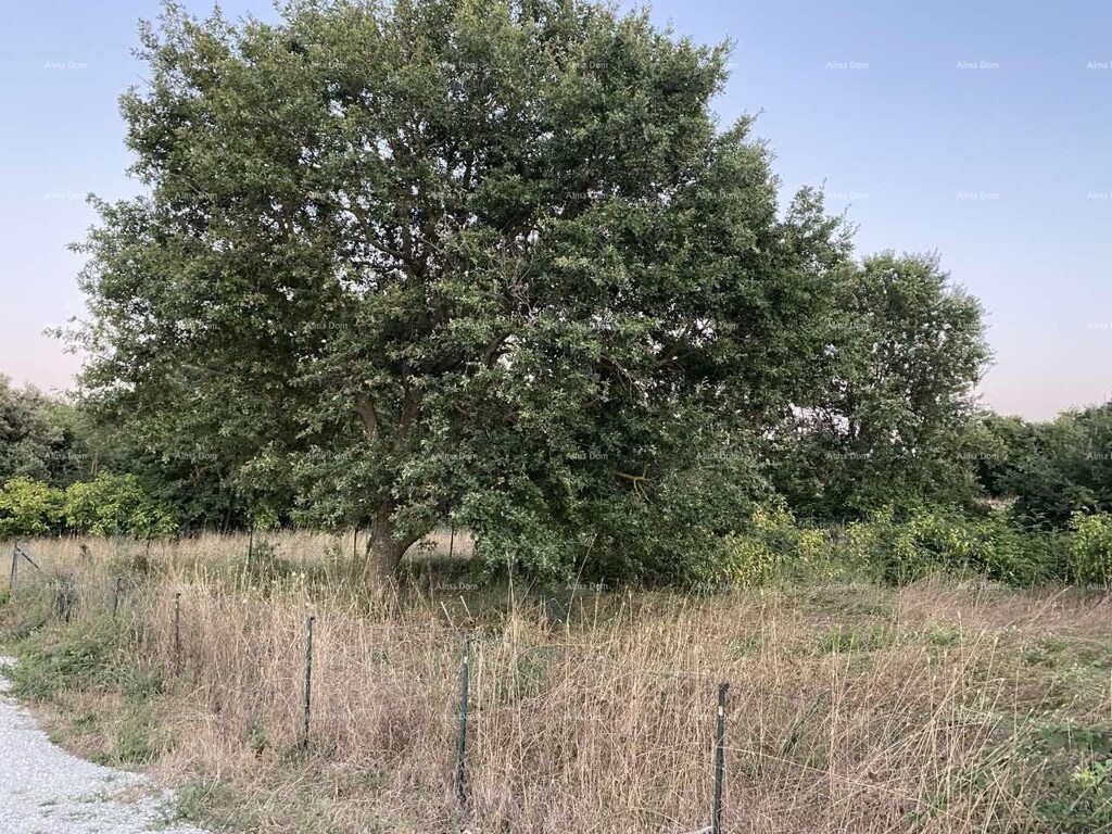 Image 6207216 - 1