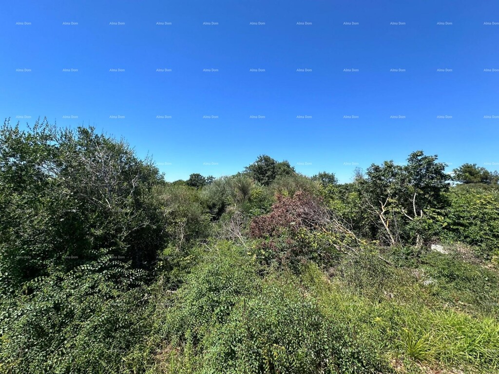 Image 6207219 - 2