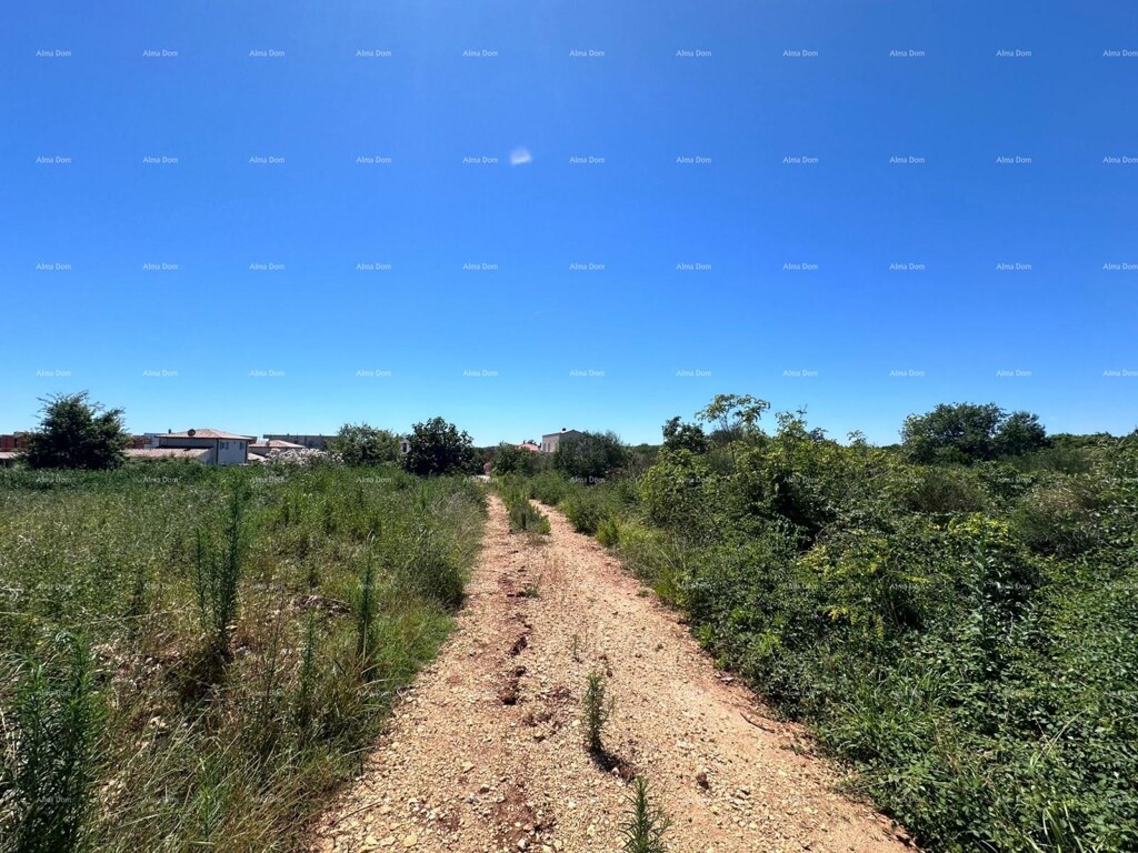 Image 6207219 - 5