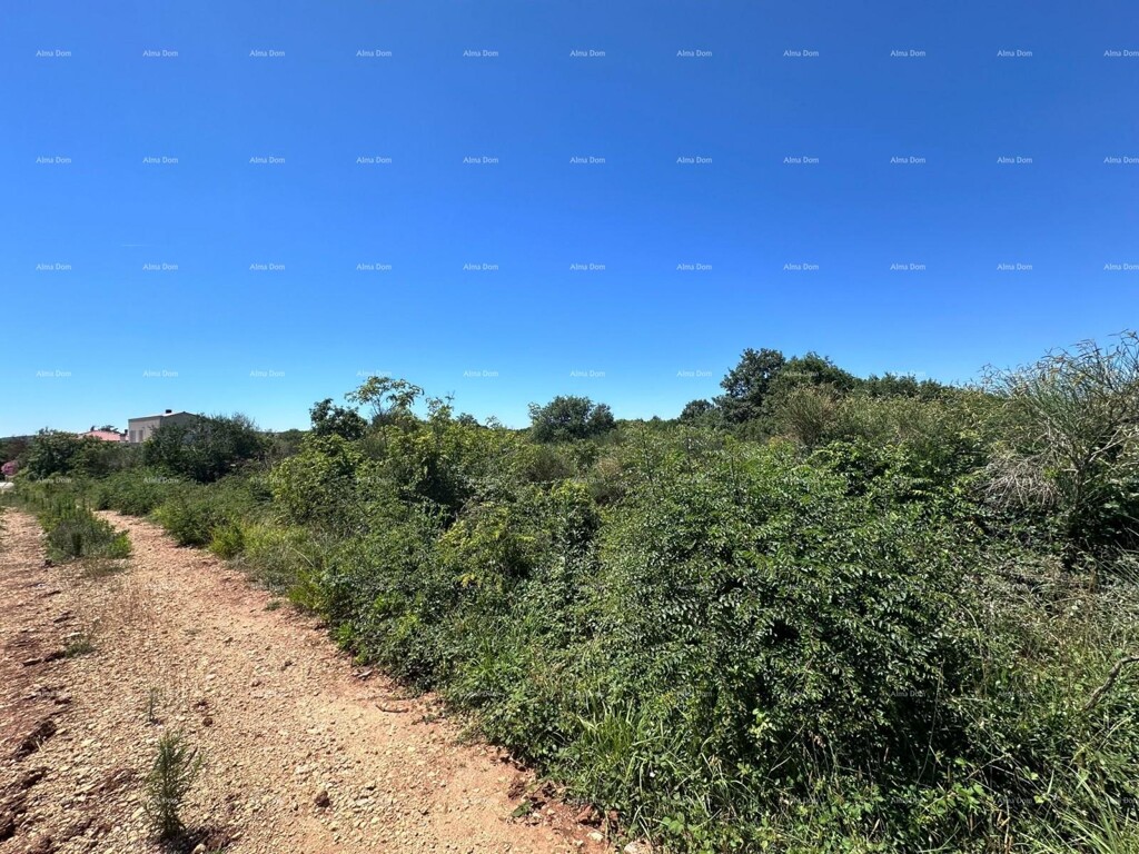 Image 6207219 - 3