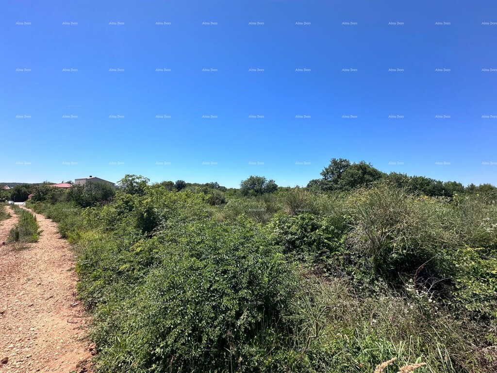 Image 6207219 - 1