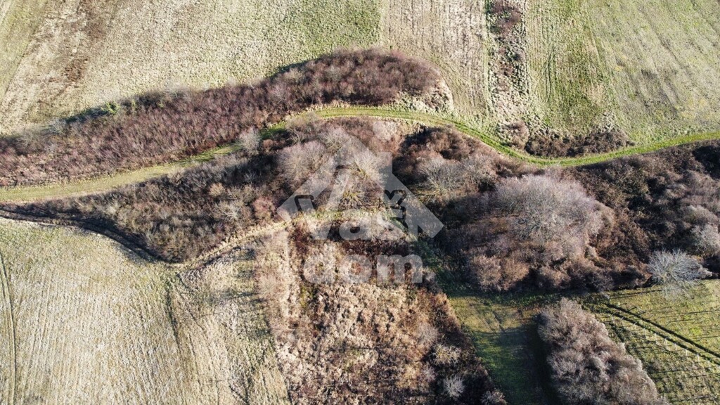 Image 6207557 - 7