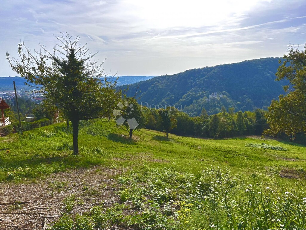 Image 6207724 - 2