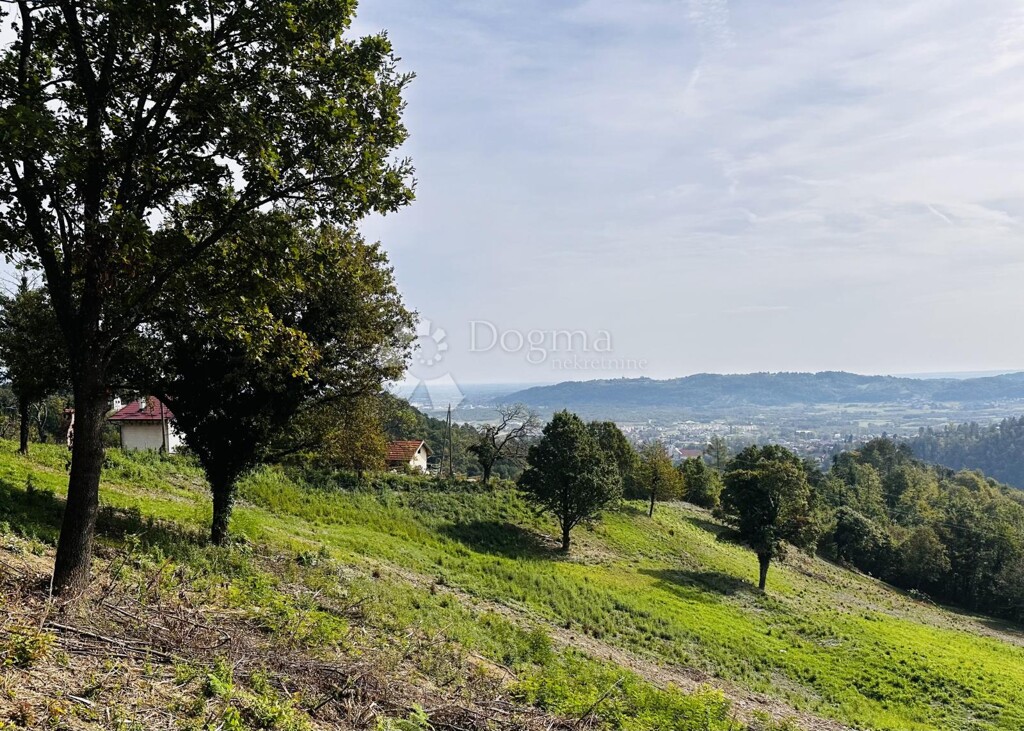 Image 6207724 - 4