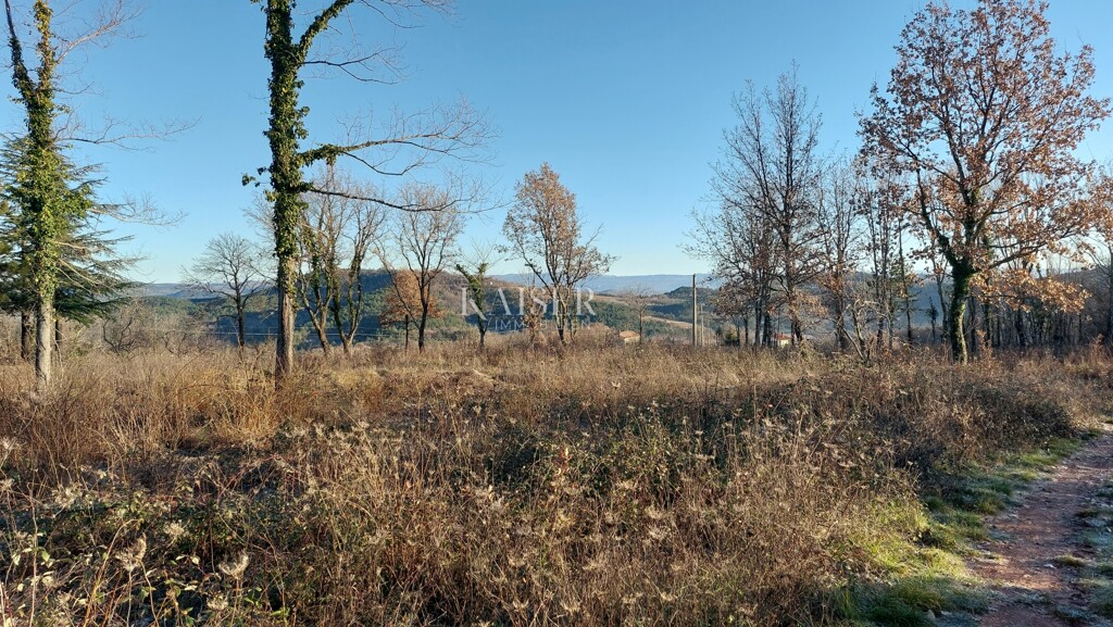 Image 6207739 - 7