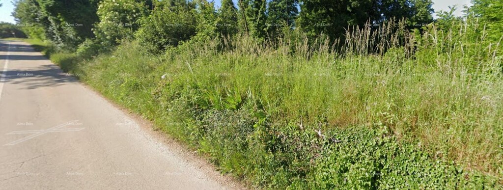 Image 6207752 - 1