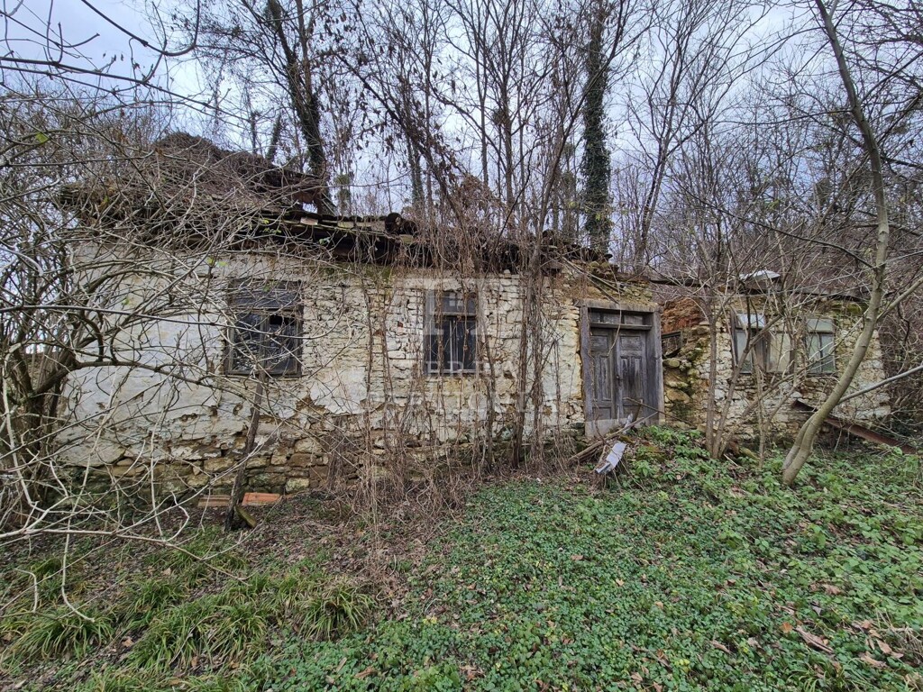 Image 6207877 - 1