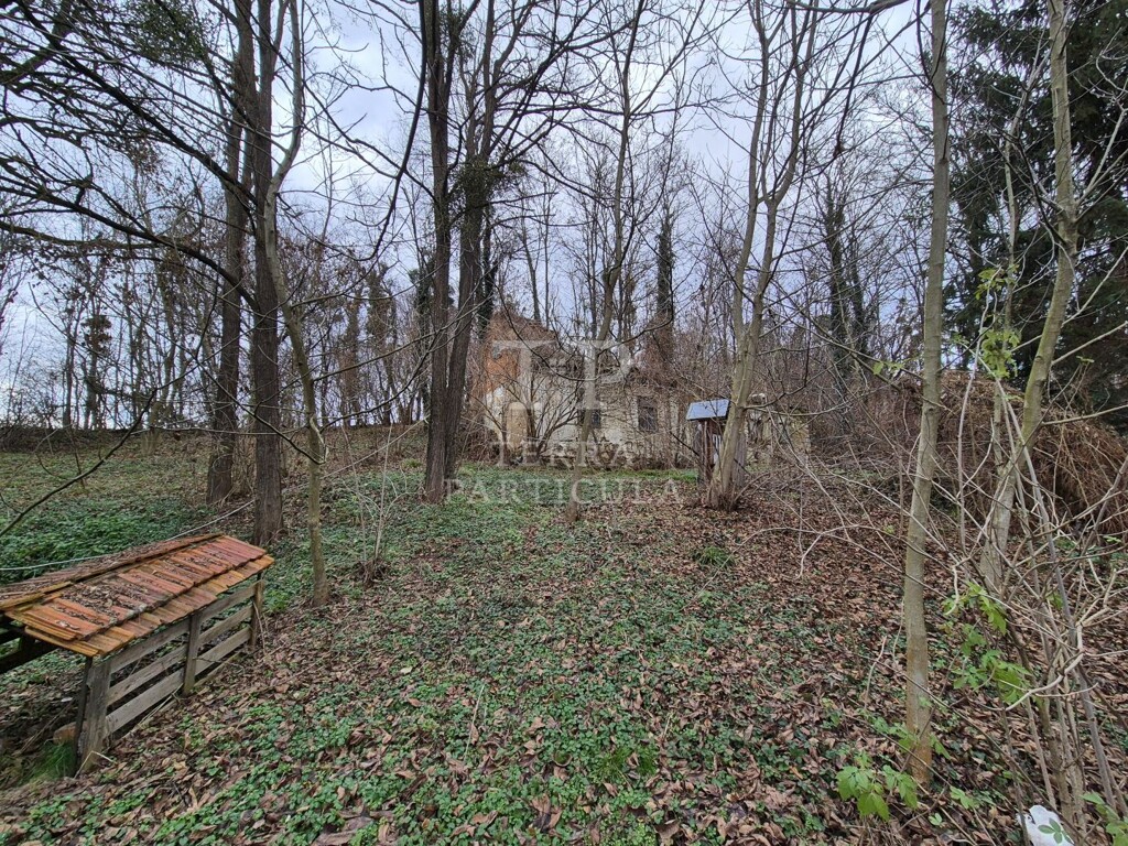 Image 6207877 - 6