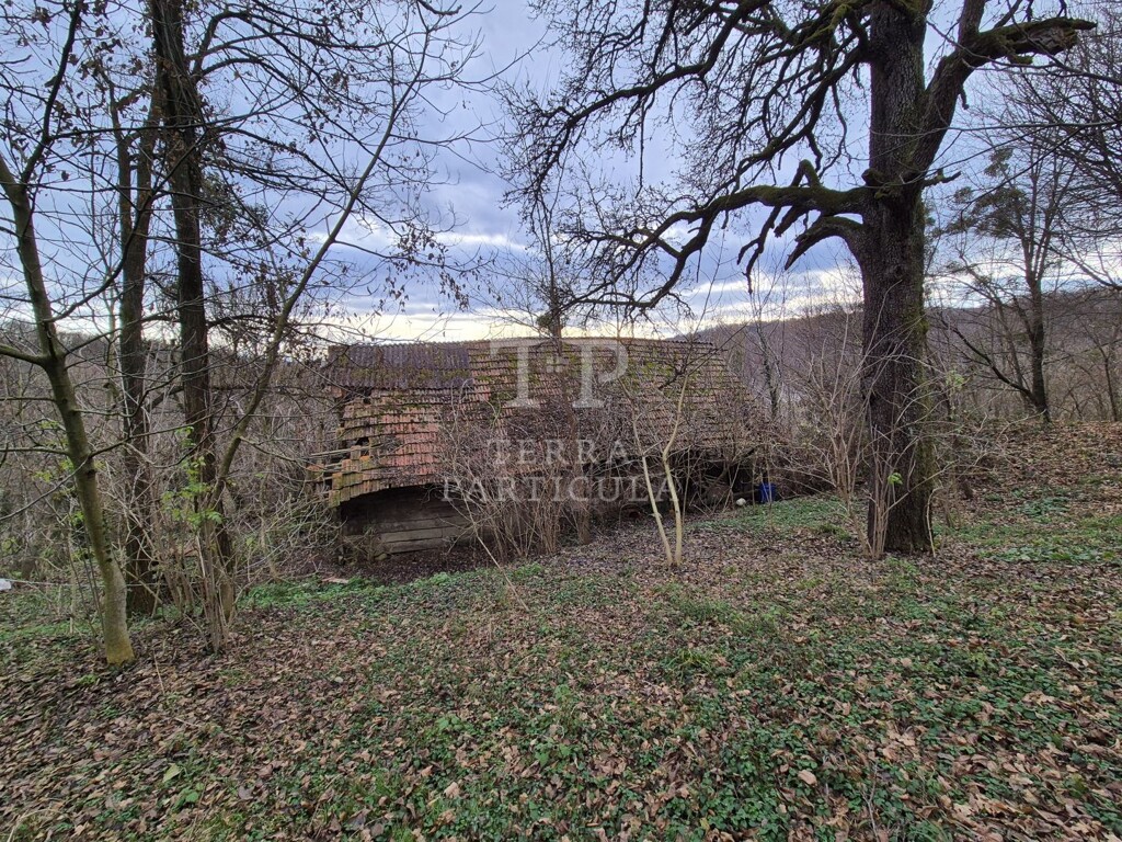 Image 6207877 - 14