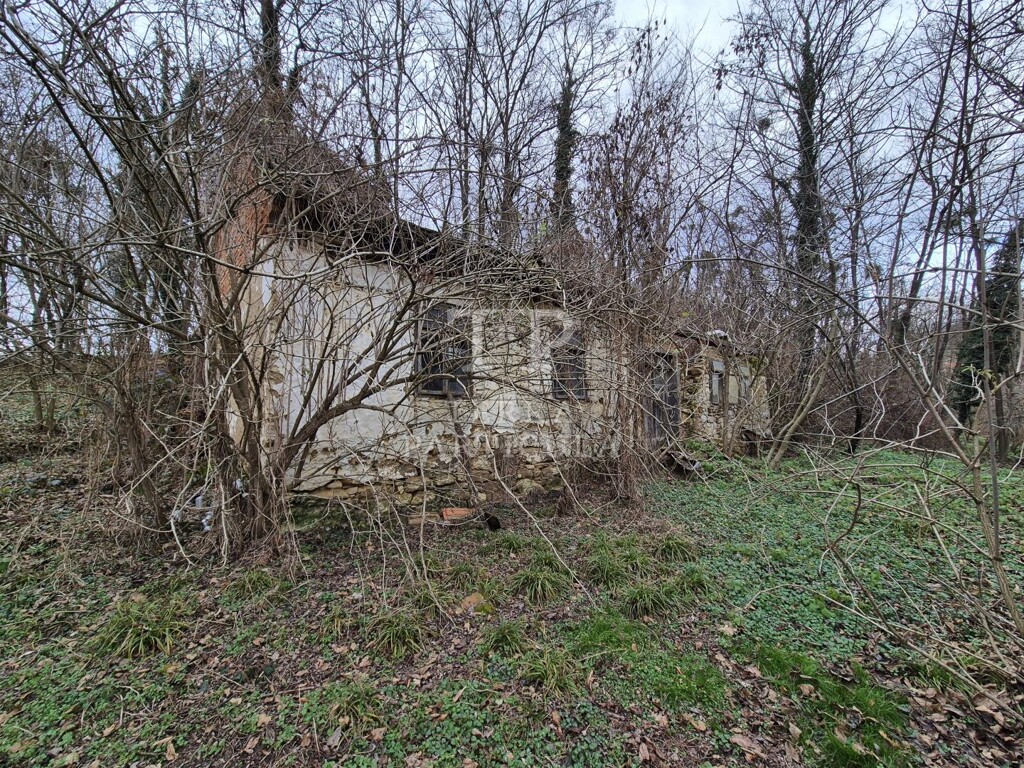 Image 6207877 - 10