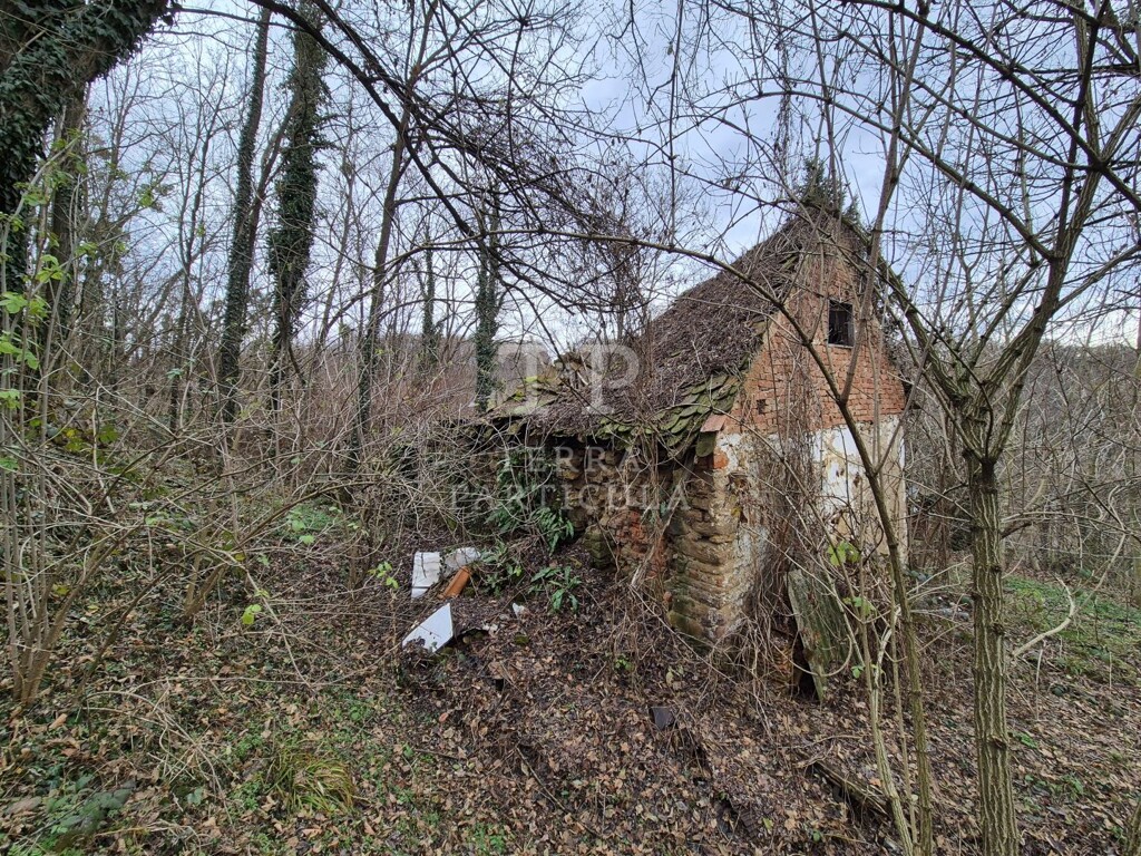 Image 6207877 - 15