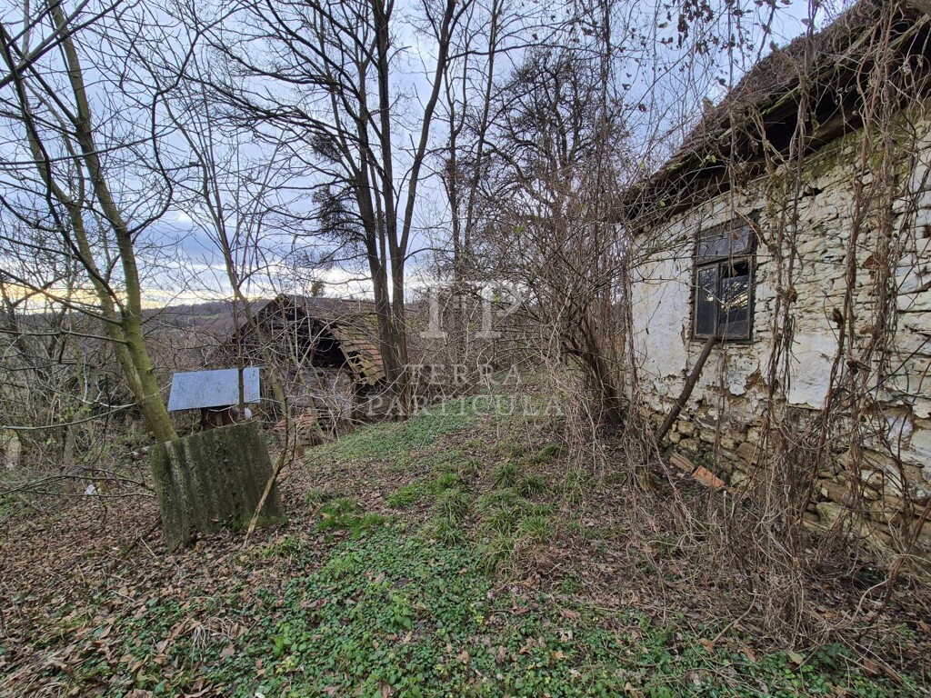 Image 6207877 - 12