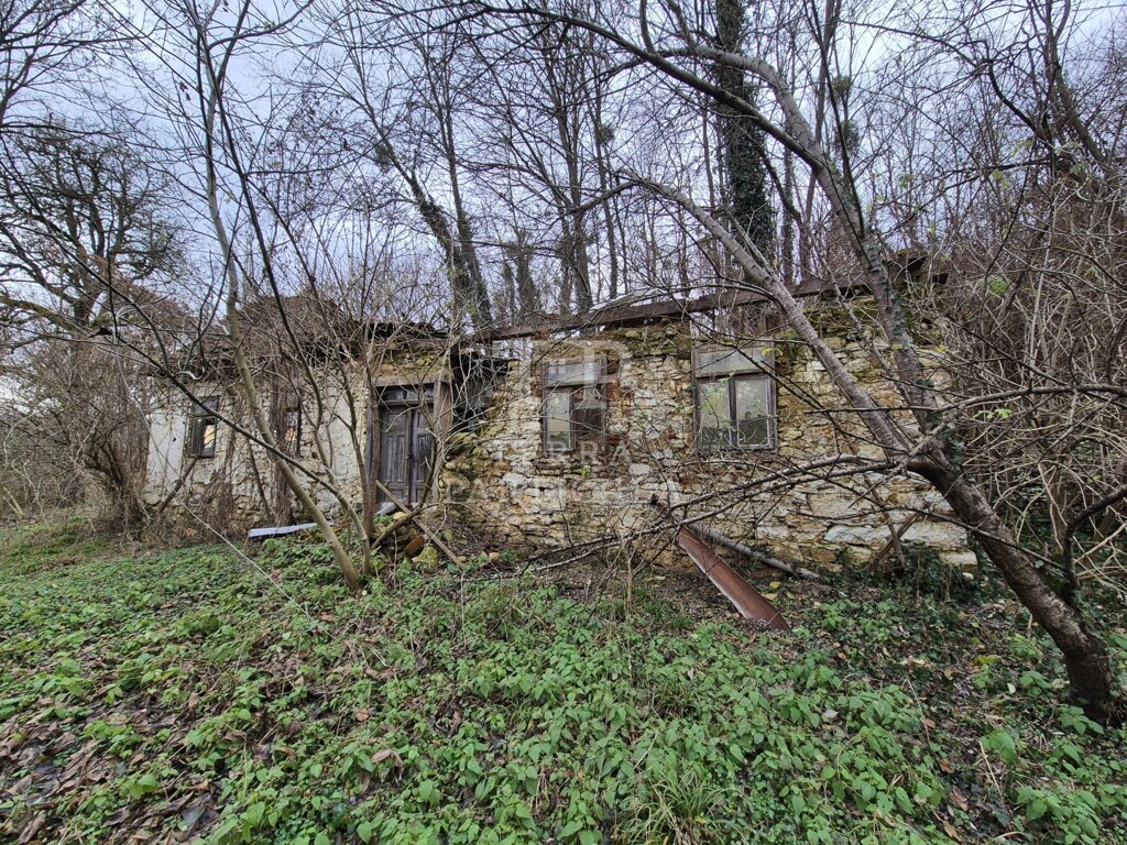 Image 6207877 - 8