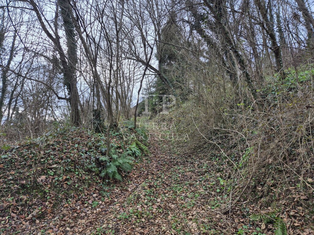 Image 6207877 - 18