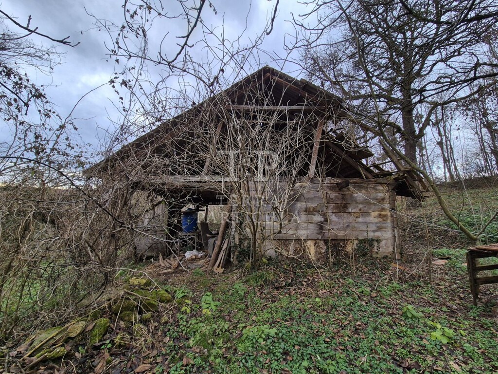 Image 6207877 - 7