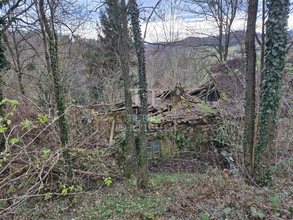 Image 6207877 - 17