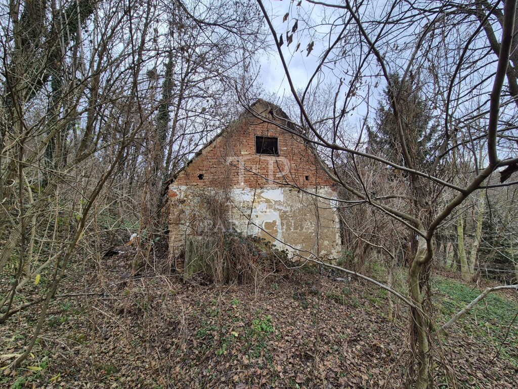 Image 6207877 - 13