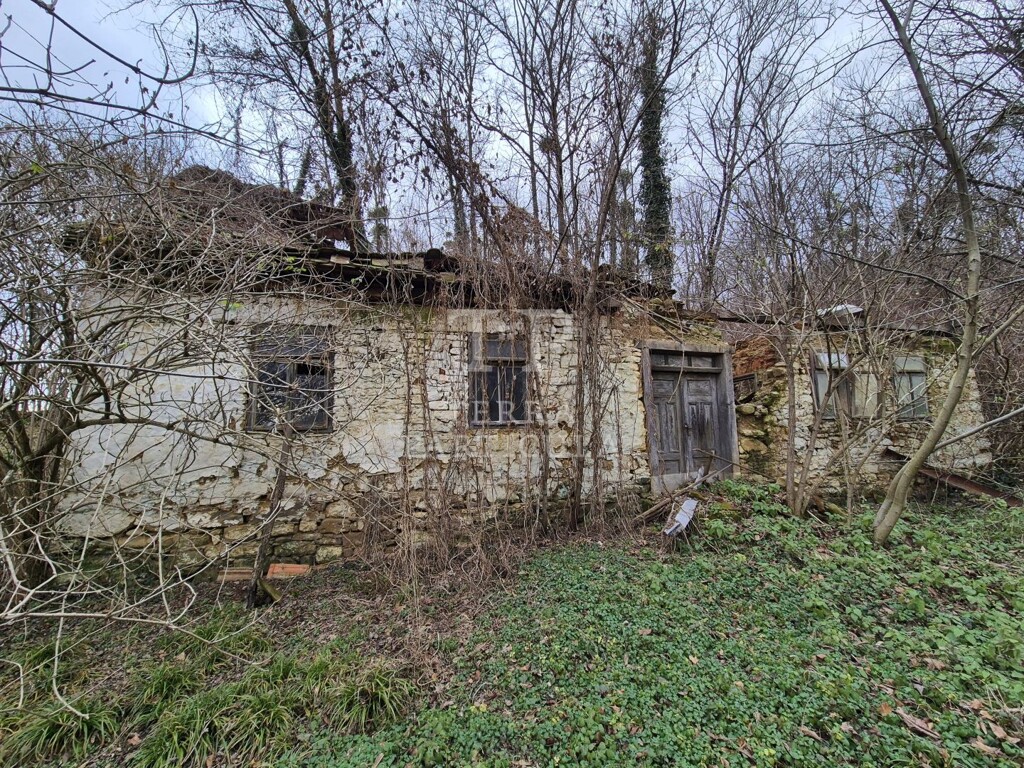 Image 6207877 - 9