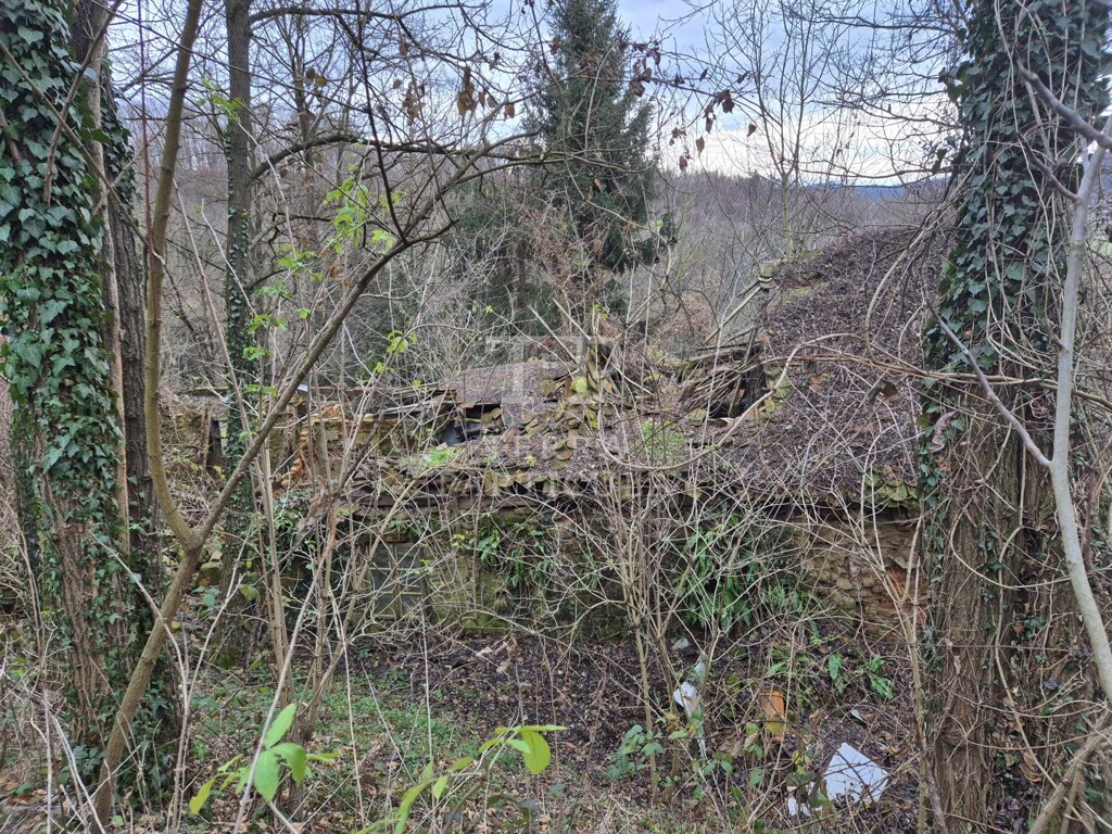 Image 6207877 - 16