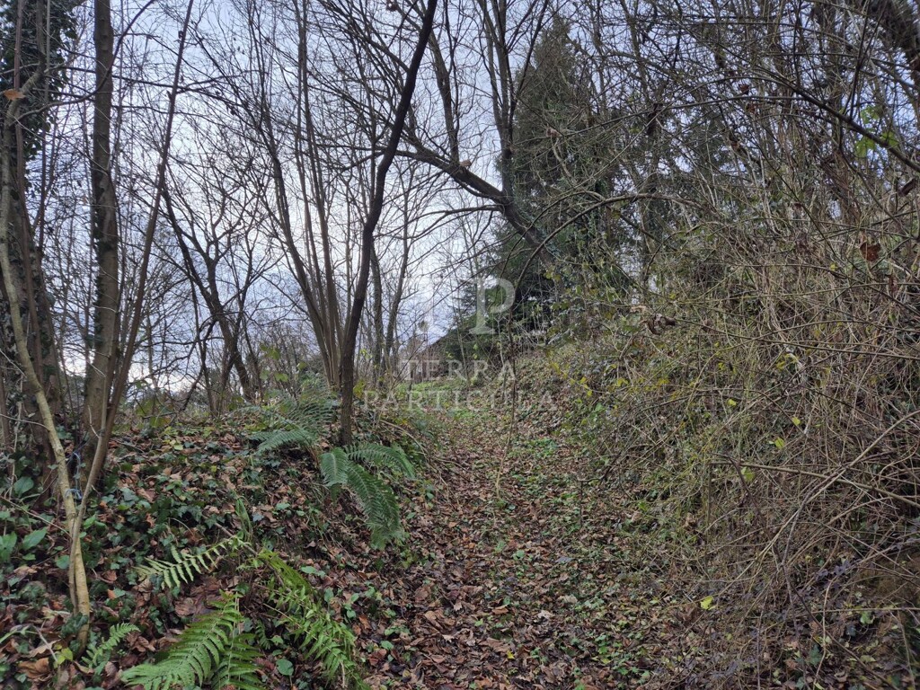 Image 6207877 - 19