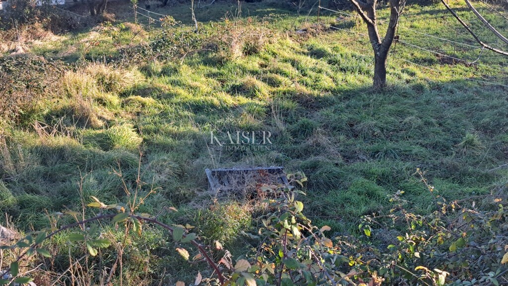 Image 6207880 - 8
