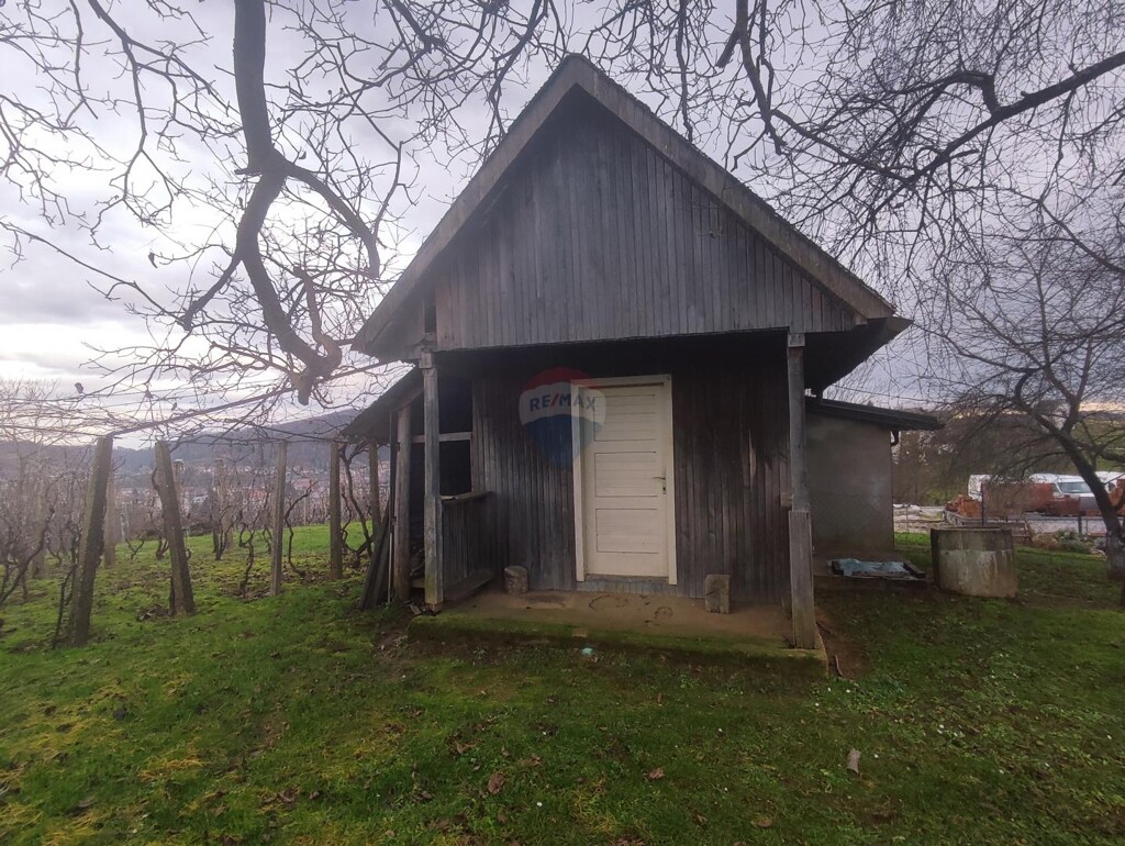 Image 6207882 - 3