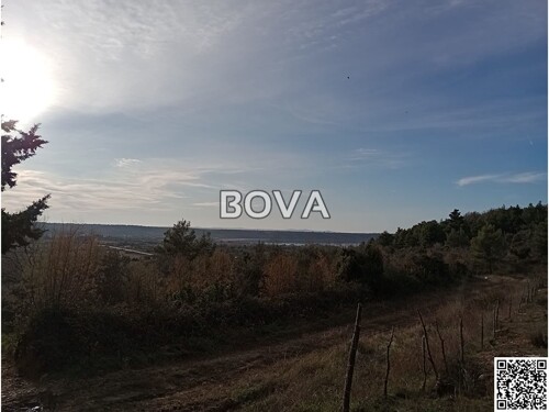 Thumbnail 6208104 - 6