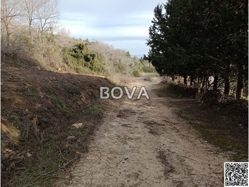 Thumbnail 6208104 - 1