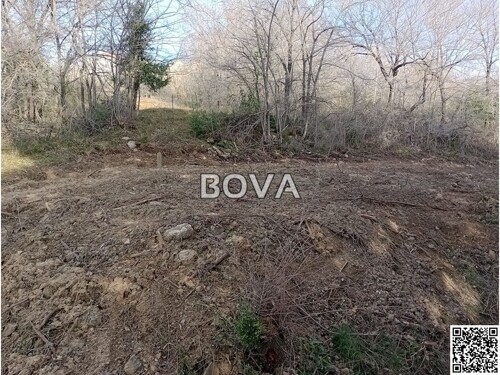 Thumbnail 6208104 - 3