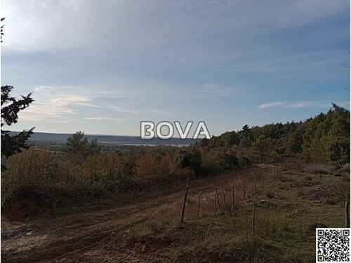 Thumbnail 6208104 - 5