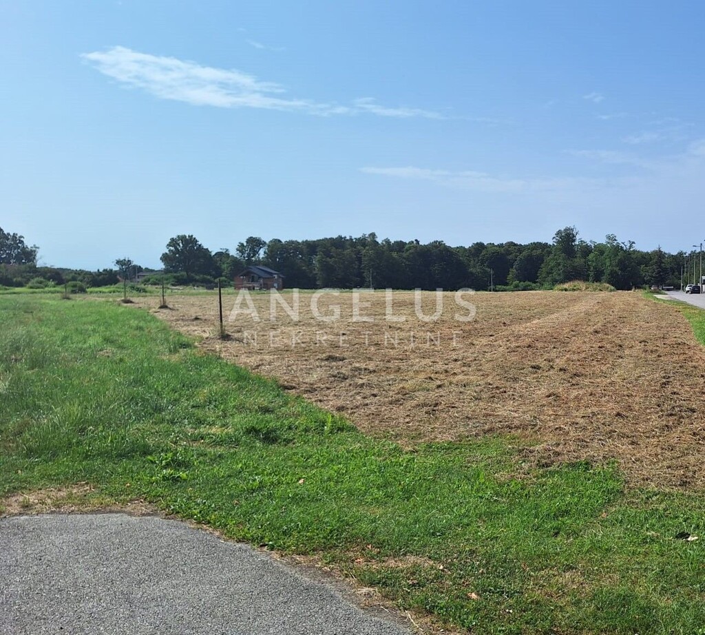 Image 6208301 - 2