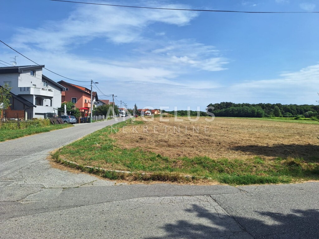 Image 6208301 - 1