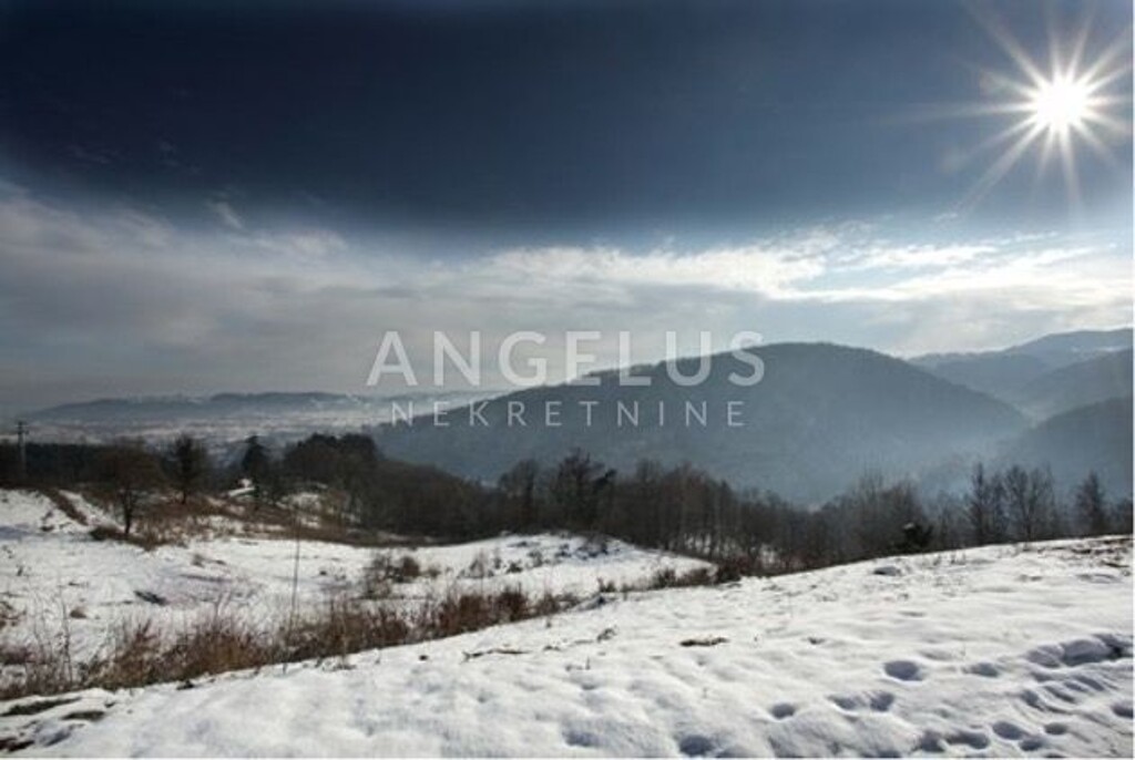 Image 6208315 - 1
