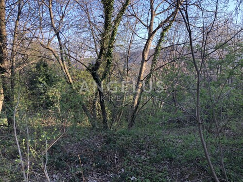 Thumbnail 6208315 - 11